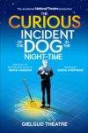 The Curious Incident of the Dog in the Night-Time